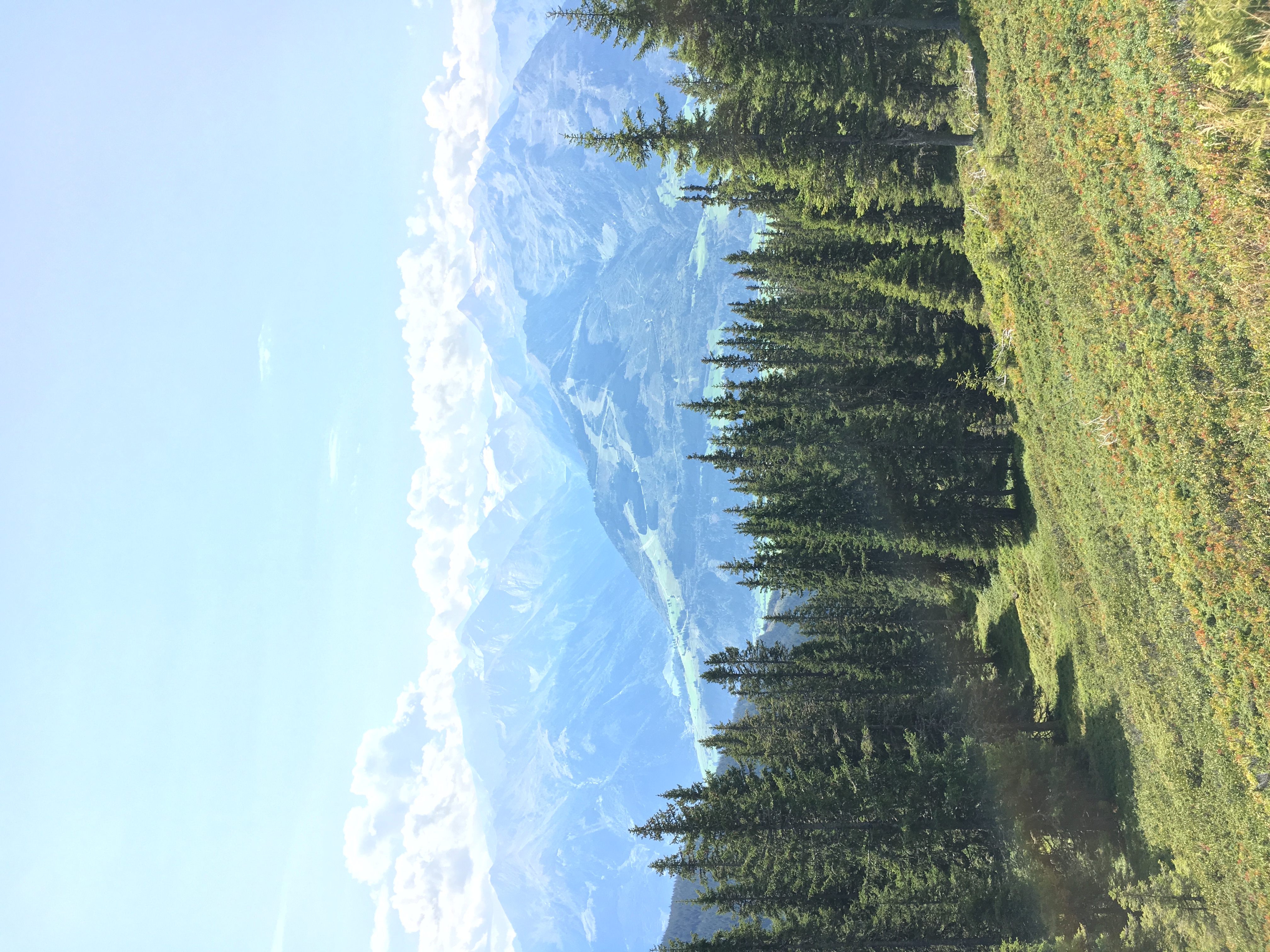 A forested mountain view stretching toward distant ridges